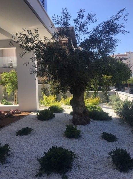 Апартаменты в Лимасоле, Кипр, 124 м² - фото 18