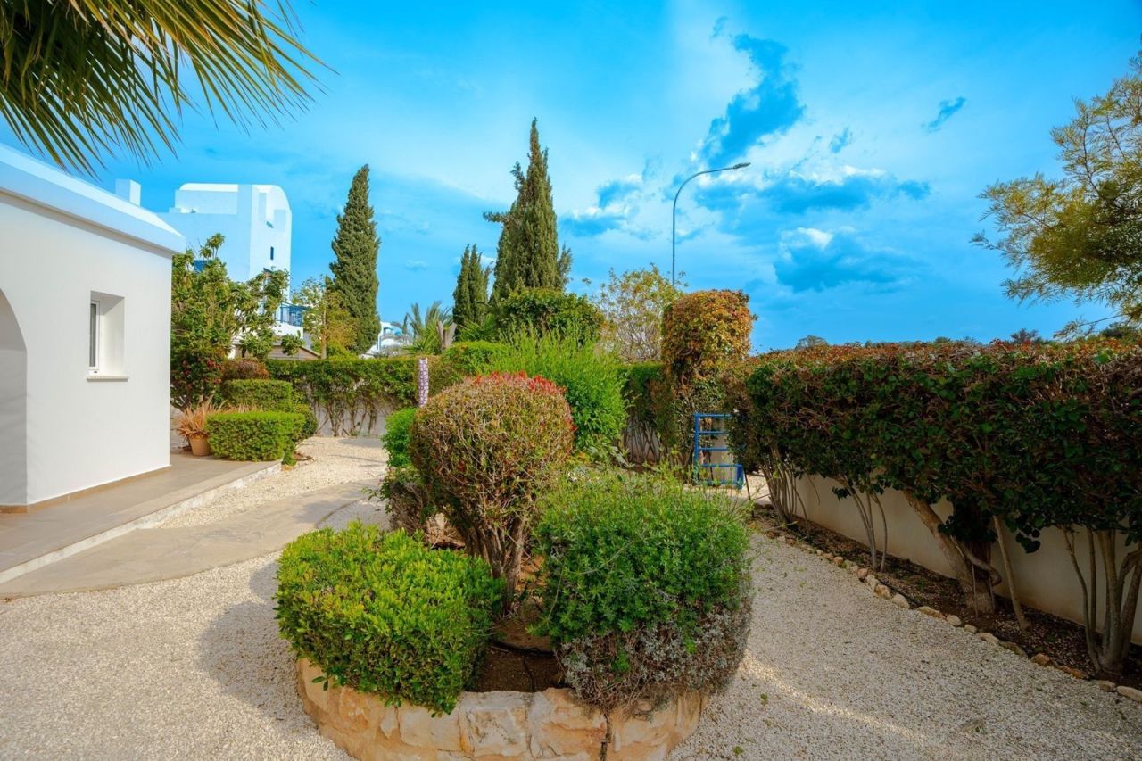 Бунгало в Пафосе, Кипр, 193 м² - фото 19