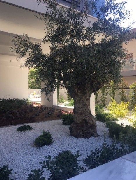 Апартаменты в Лимасоле, Кипр, 124 м² - фото 19