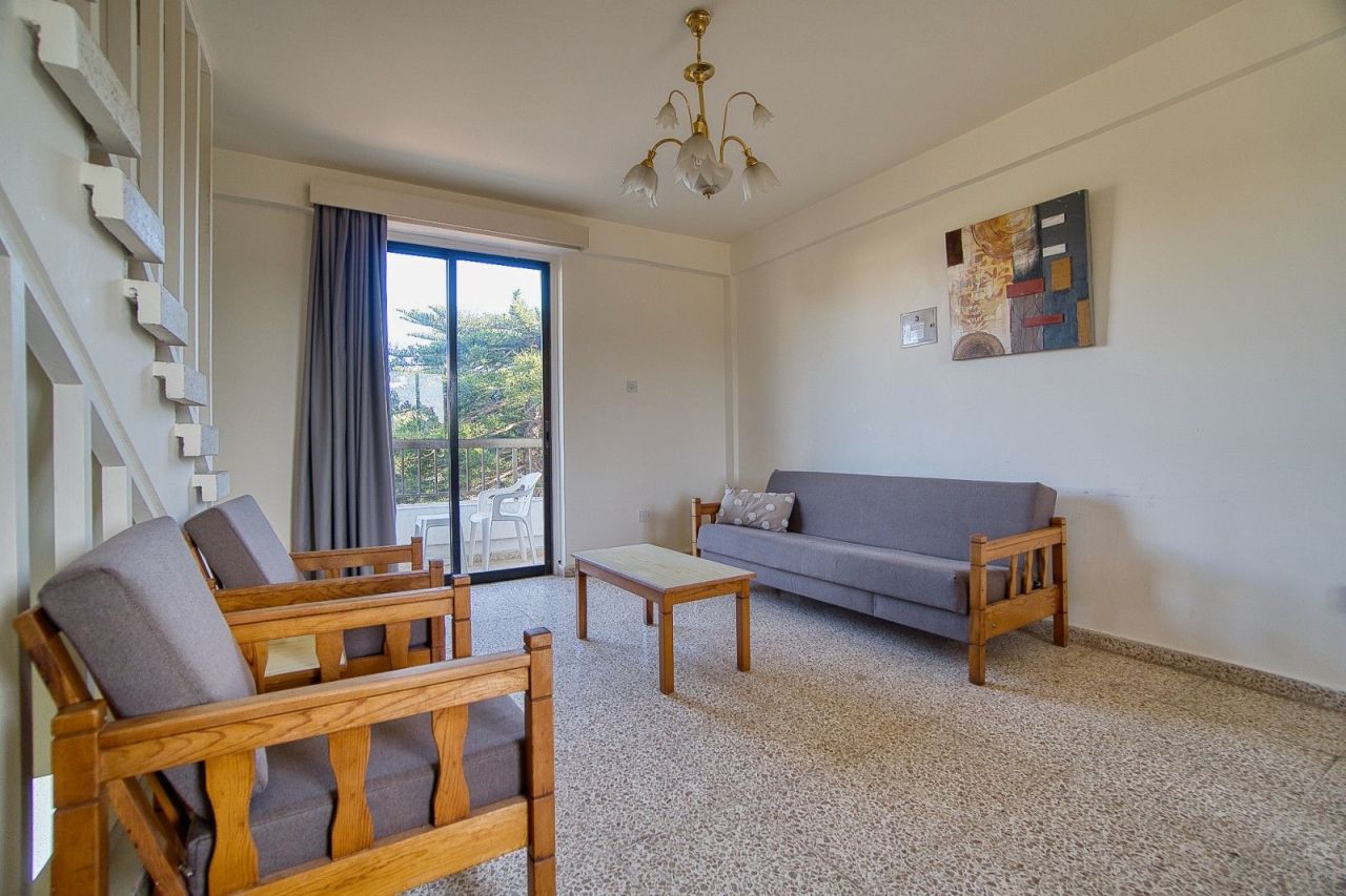 Коммерческая недвижимость в Пафосе, Кипр - фото 19