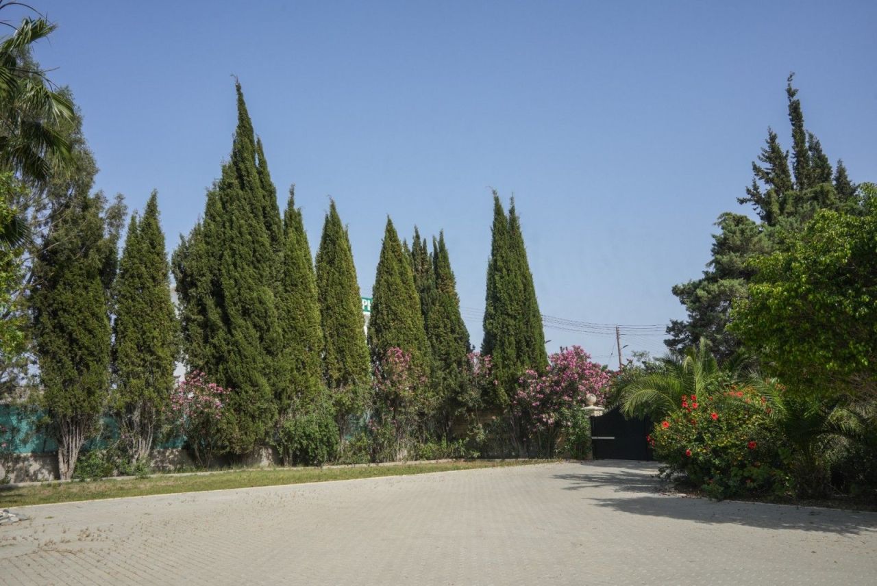 Вилла в Ларнаке, Кипр, 1 628 м² - фото 19