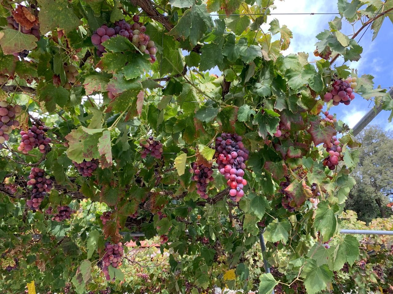 Вилла в Лимасоле, Кипр, 125 м² - фото 19