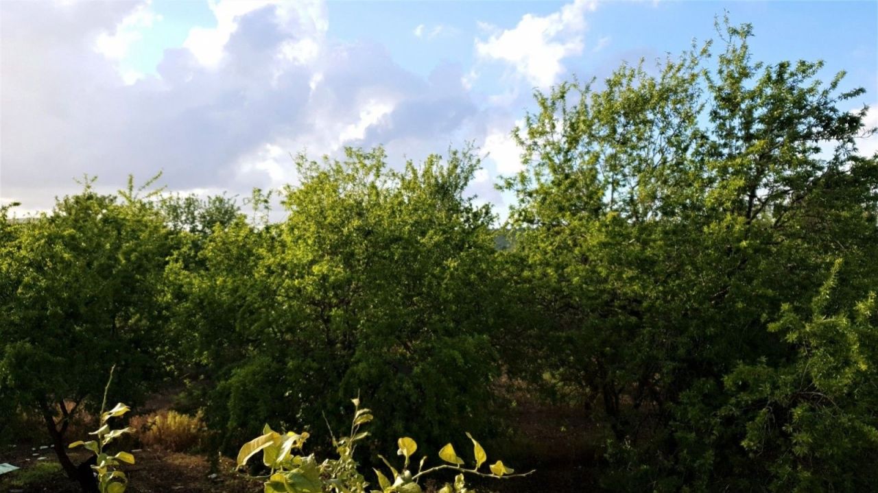 Вилла в Пафосе, Кипр, 400 м² - фото 19