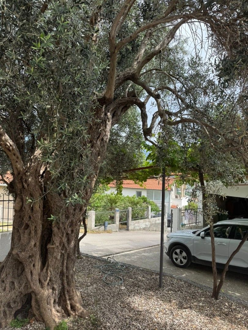 Дом в Баре, Черногория, 130 м² - фото 3