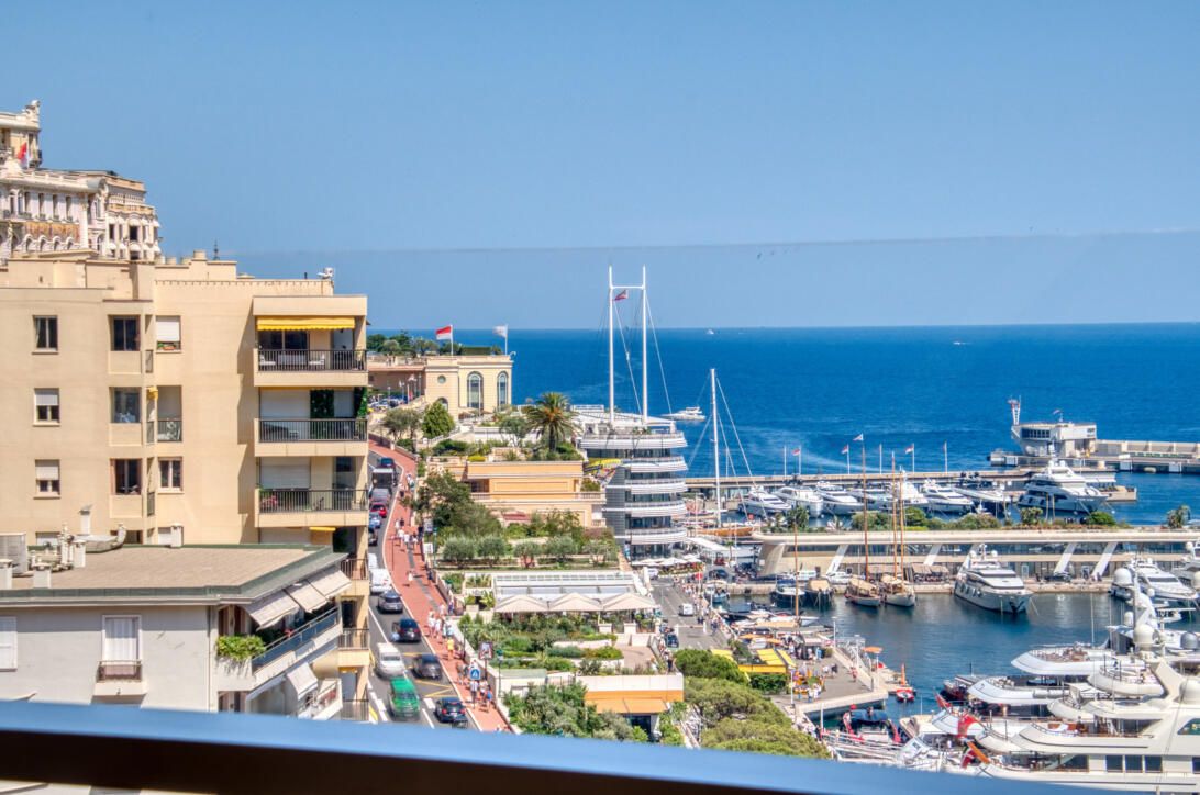 Апартаменты в Монако, Монако, 290 м² - фото 17