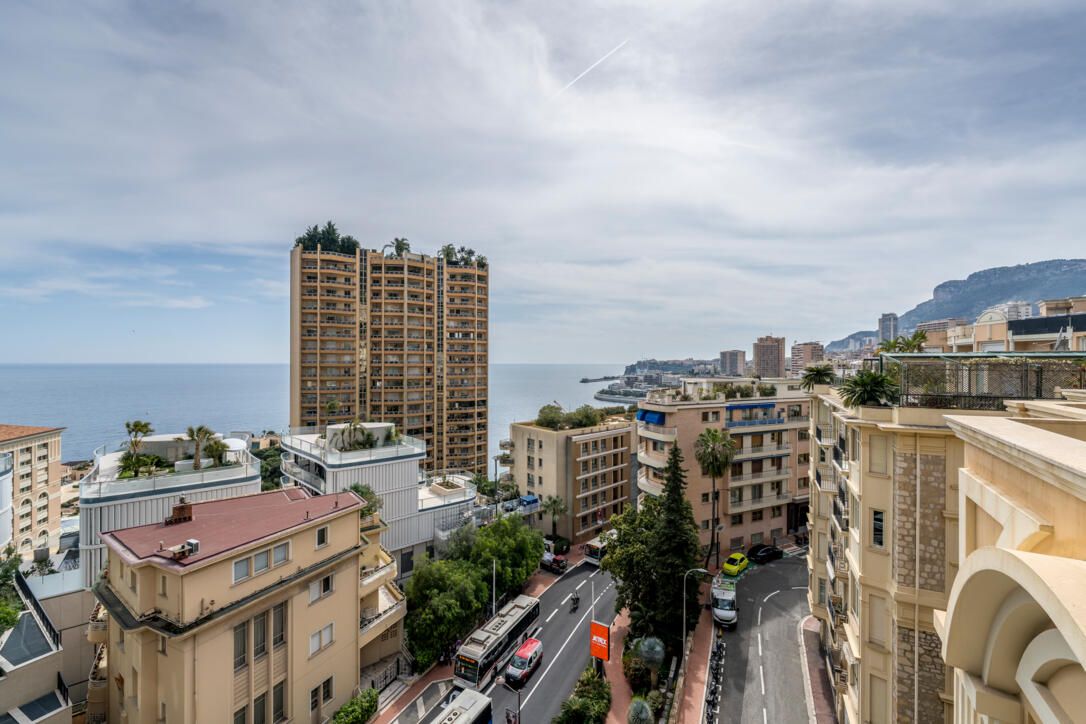 Апартаменты в Сен-Романе, Монако, 240 м² - фото 2