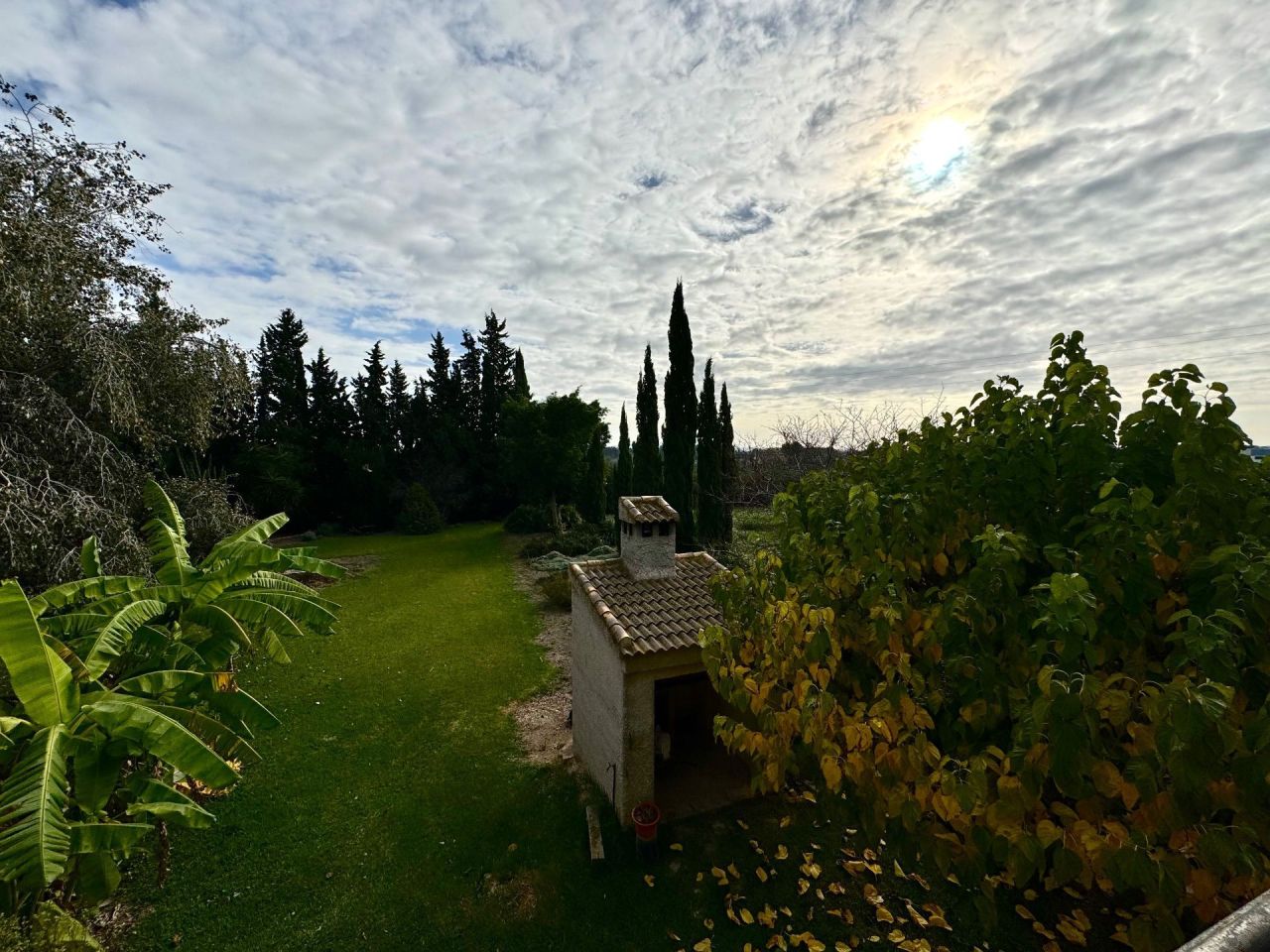 Ферма в Дайя-Нуэве, Испания, 350 м² - фото 3