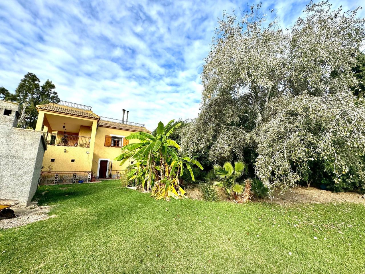 Ферма в Дайя-Нуэве, Испания, 350 м² - фото 7