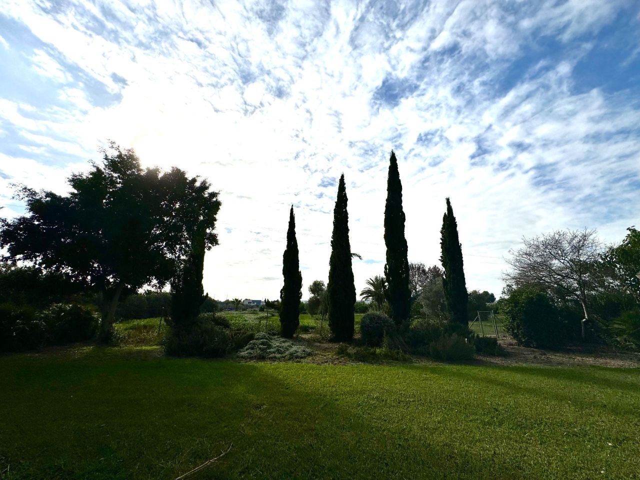 Ферма в Дайя-Нуэве, Испания, 350 м² - фото 8