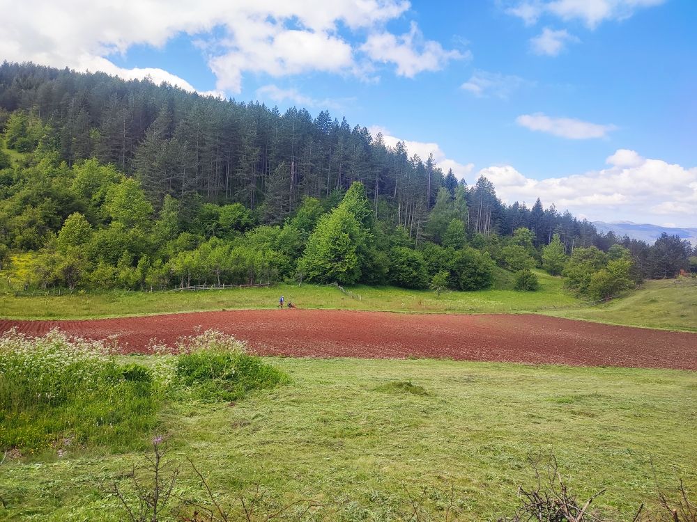 Дом в Плевле, Черногория, 76 м² - фото 16