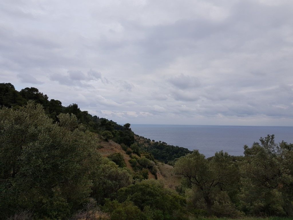 Земля на Кассандре, Греция, 5 174 м² - фото 2