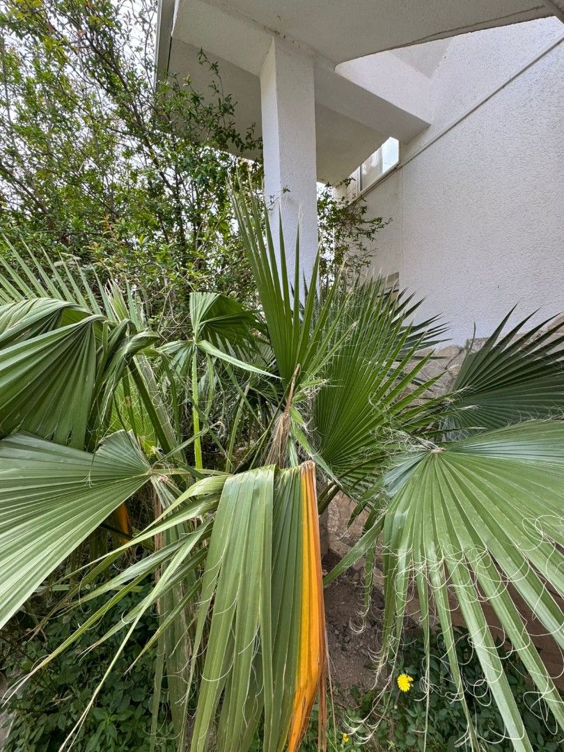 Дом в Баре, Черногория, 240 м² - фото 17