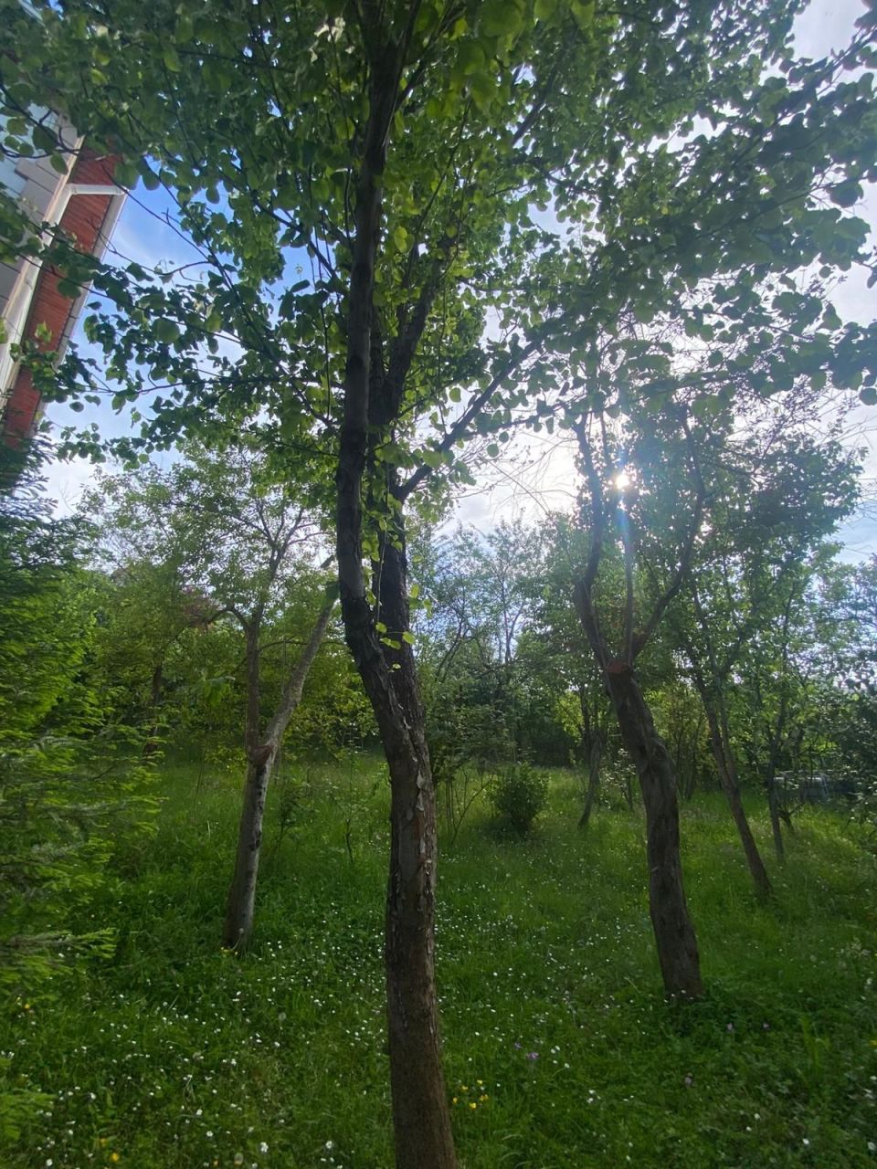 Дом в Трабзоне, Турция, 200 м² - фото 5