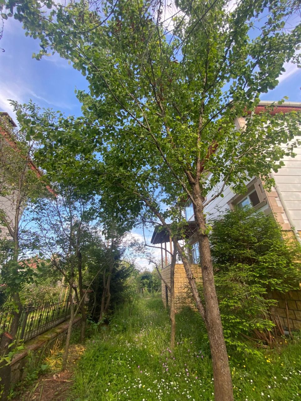 Дом в Трабзоне, Турция, 200 м² - фото 15