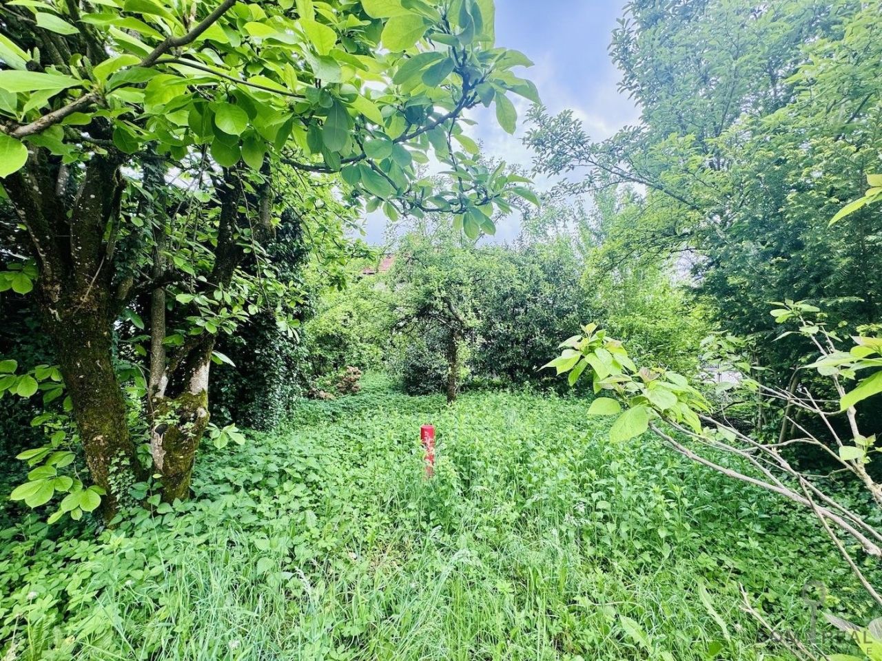 Дом в Любляне, Словения, 660 м² - фото 3