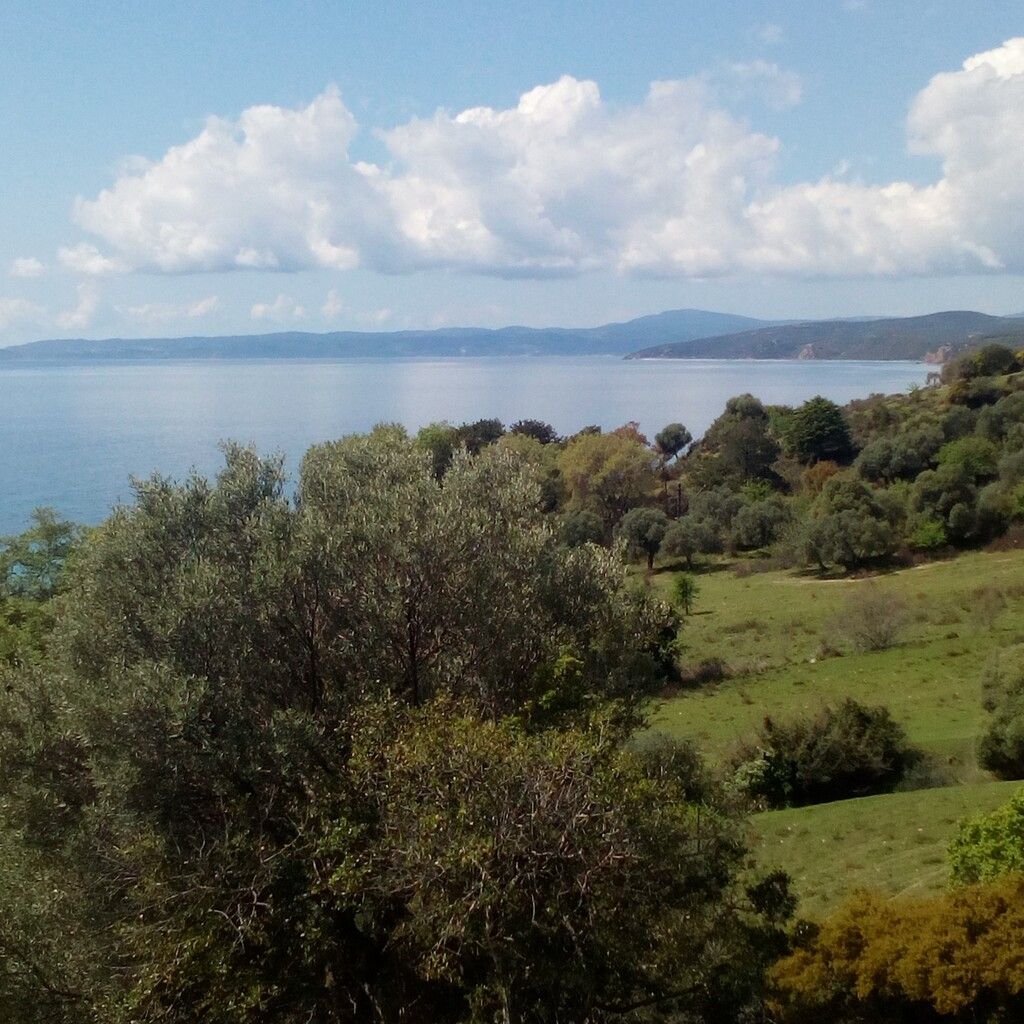 Земля на Халкидиках, Греция, 8 500 м² - фото 3