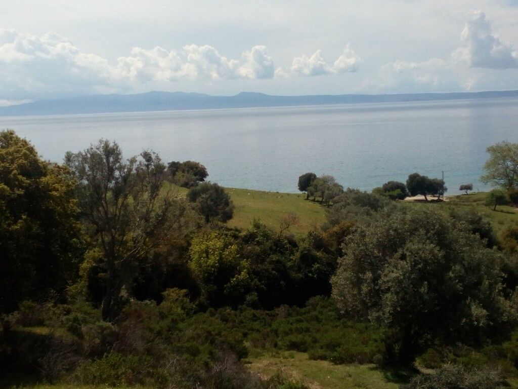 Земля на Халкидиках, Греция, 8 500 м² - фото 4