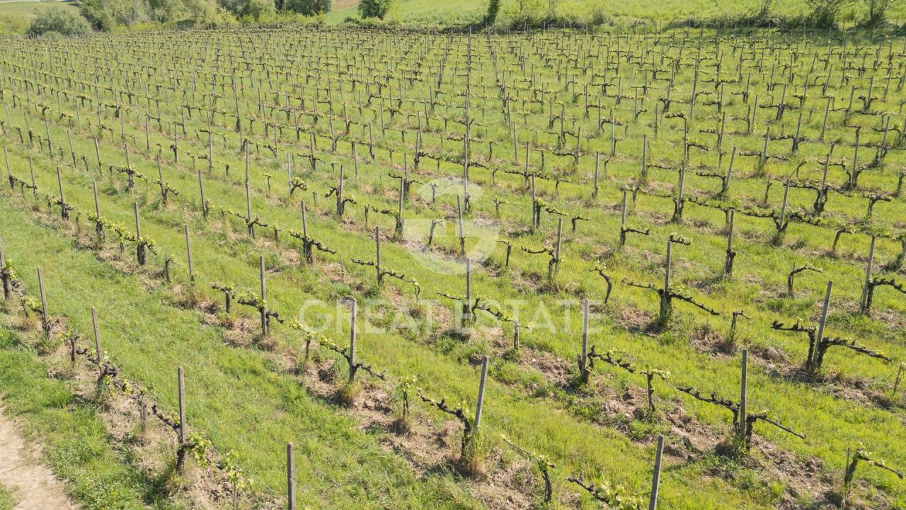 Дом в Сан-Джиминьяно, Италия, 961.25 м² - фото 2