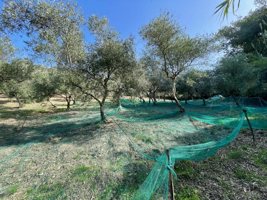 Земля в Скалее, Италия, 5 000 м² - фото 2