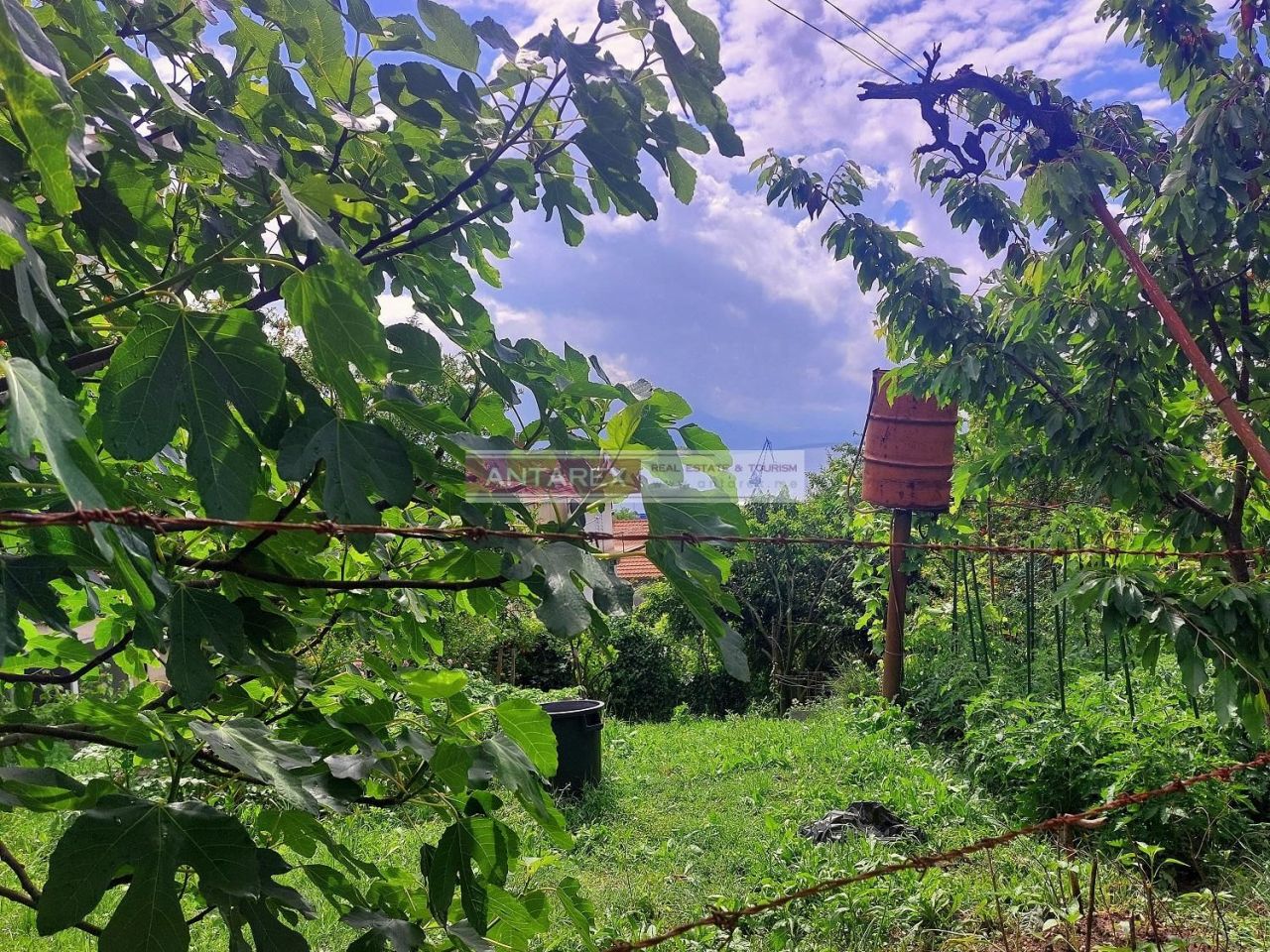 Земля в Биеле, Черногория, 335 м² - фото 3