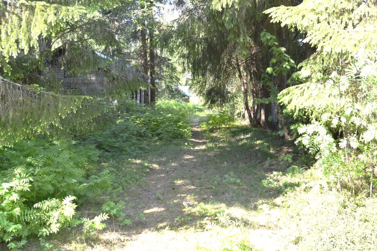 Коттедж в Кейтеле, Финляндия, 25 м² - фото 2