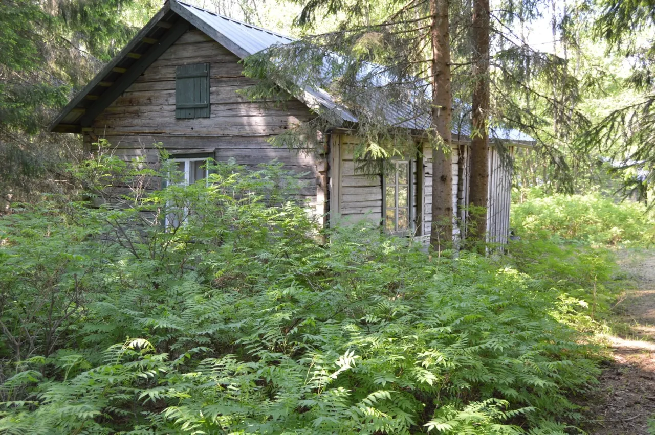 Коттедж в Кейтеле, Финляндия, 25 м² - фото 8