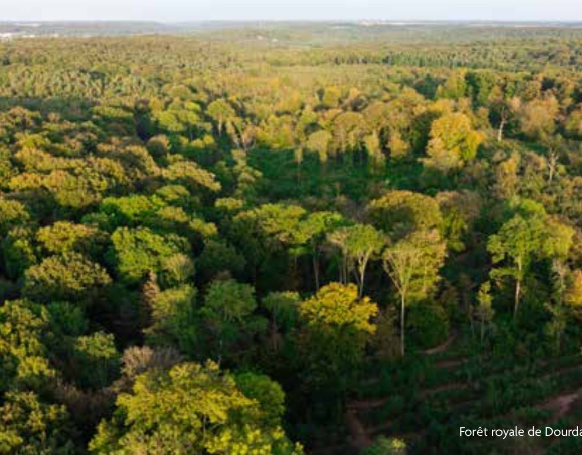 Квартира в Иль-де-Франс, Франция, 44.12 м² - фото 6