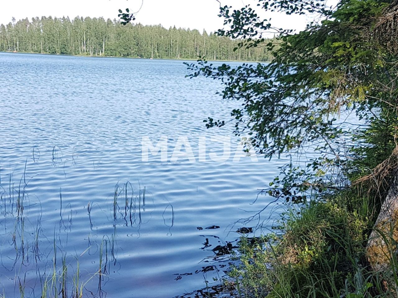 Земля в Руоколахти, Финляндия, 5 030 м² - фото 1