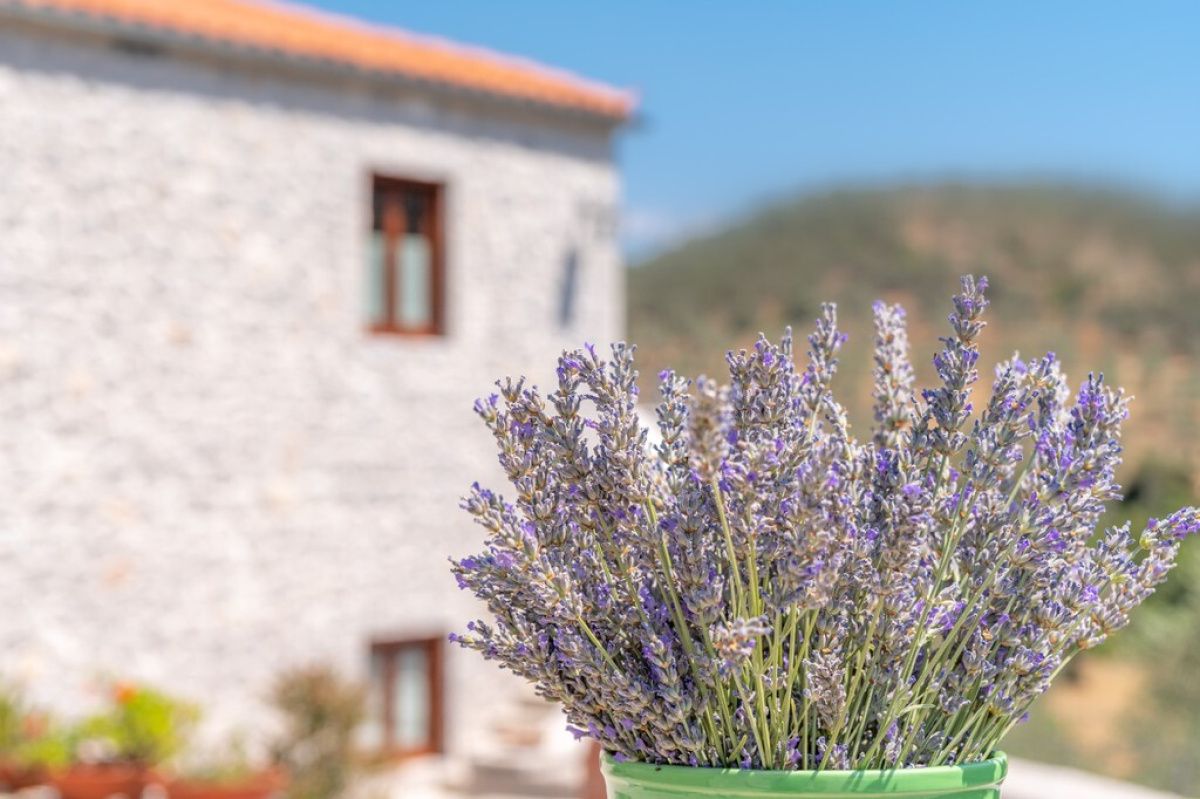 Дом на Пелопоннесе, Греция, 420 м² - фото 6