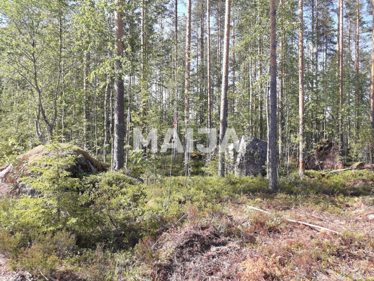 Земля в Руоколахти, Финляндия, 5 030 м² - фото 6