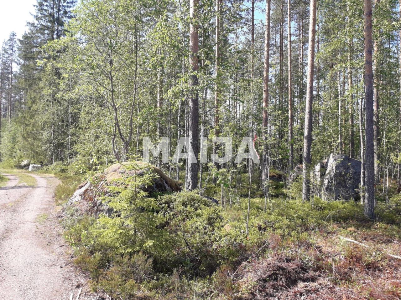 Земля в Руоколахти, Финляндия, 5 030 м² - фото 8