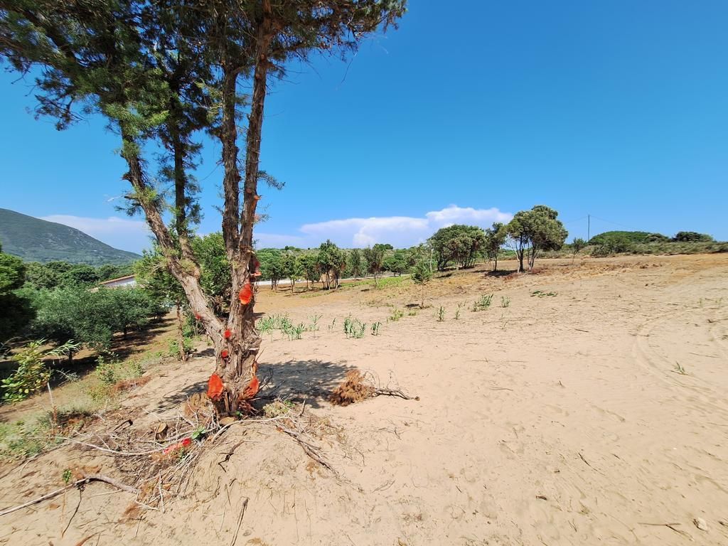 Земля на Корфу, Греция, 5 064 м² - фото 3