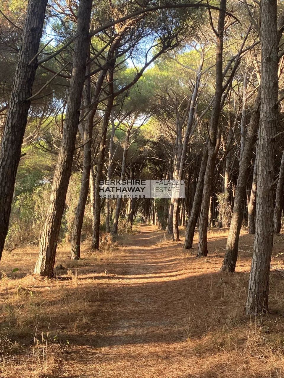 Вилла в Пиццо, Италия, 117 м² - фото 4