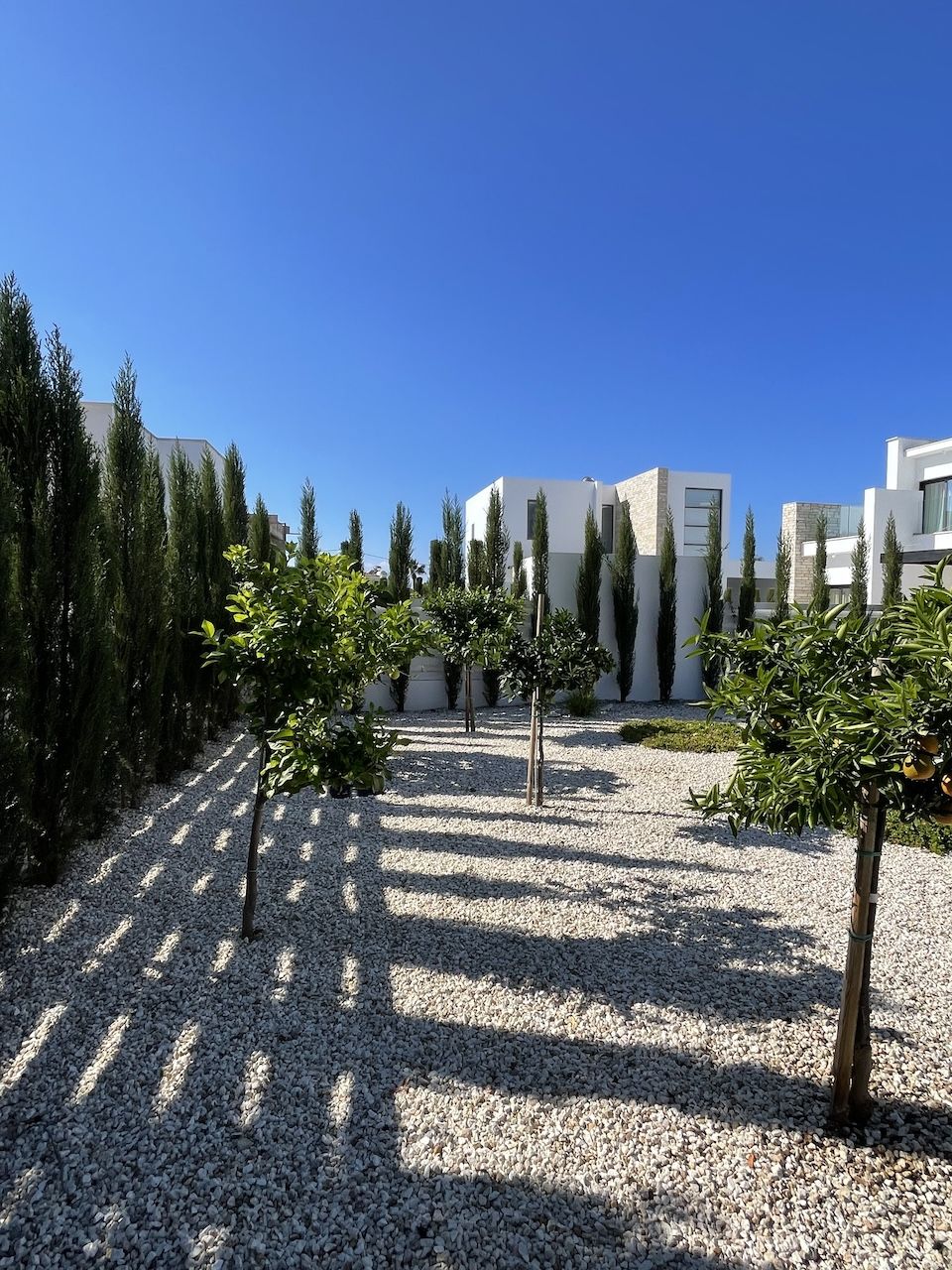 Вилла в Пафосе, Кипр, 180 м² - фото 3