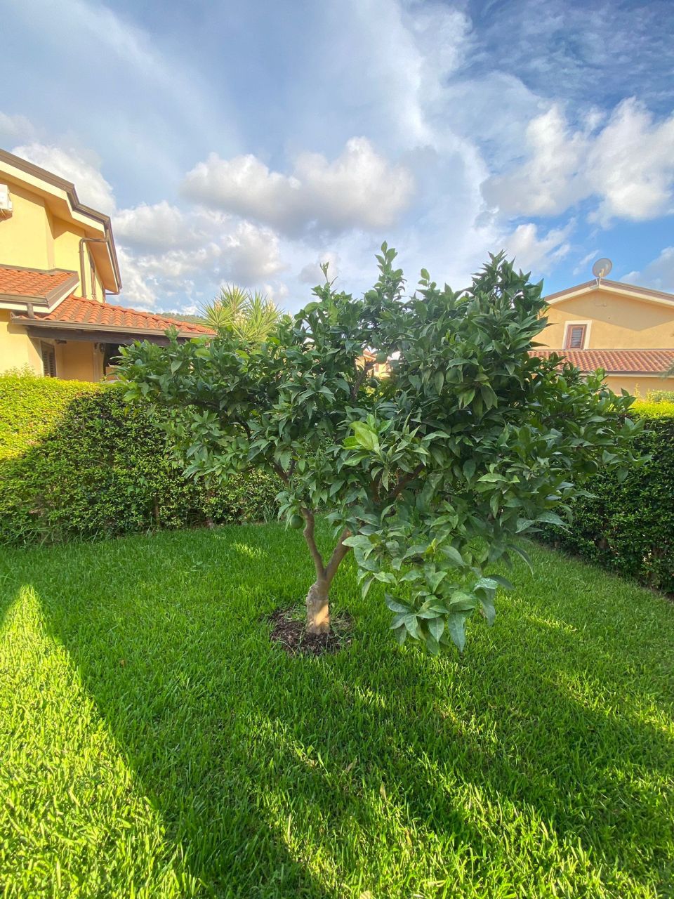 Вилла в Пиццо, Италия, 180 м² - фото 18