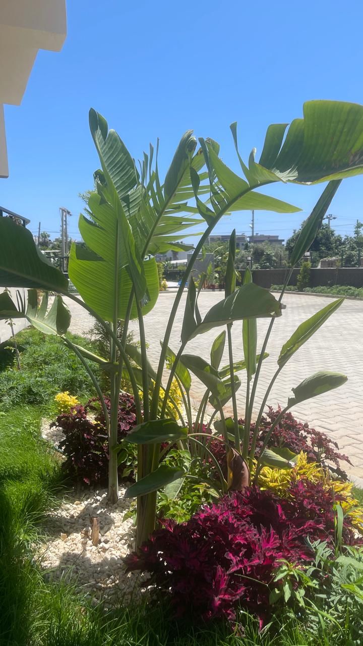 Квартира в Мерсине, Турция, 43 м² - фото 10