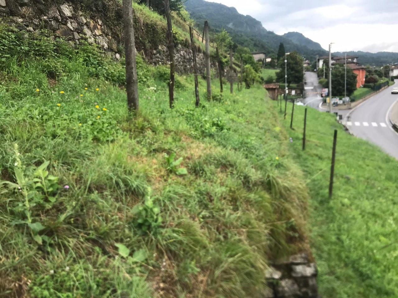 Земля в Карлаццо, Италия, 2 440 м² - фото 4