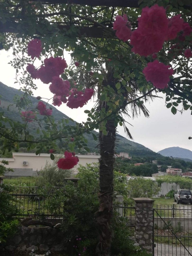 Коммерческая недвижимость в Сутоморе, Черногория, 60 м² - фото 3