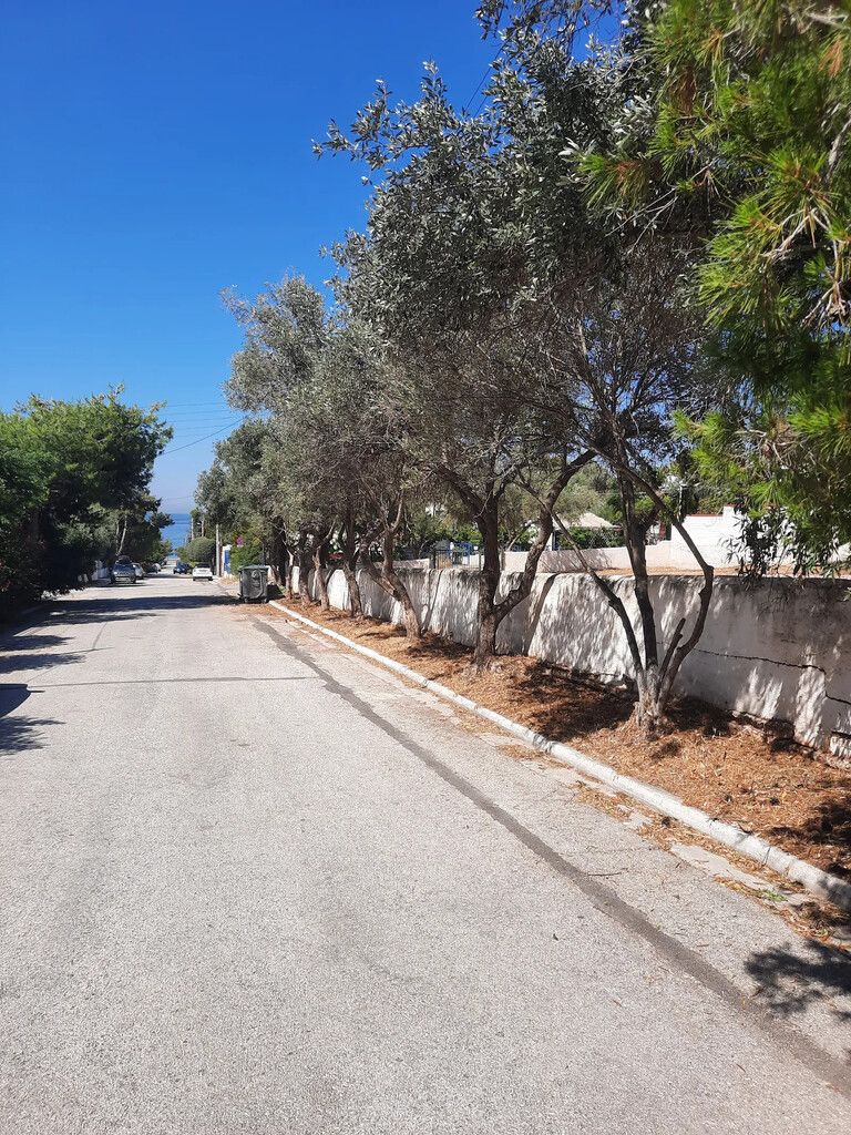 Земля в Аттике, Греция, 755 м² - фото 10