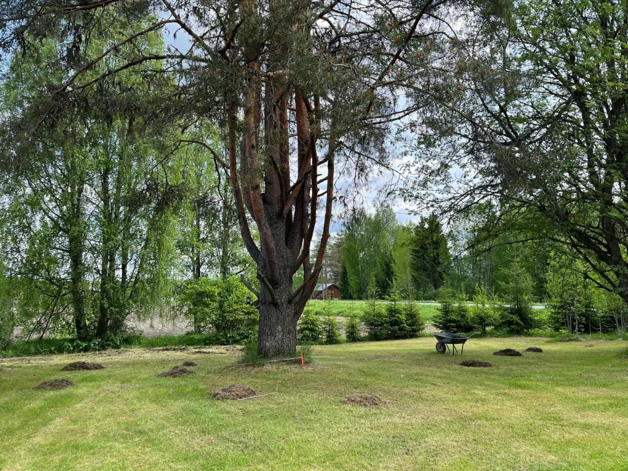 Дом в Перхо, Финляндия, 140 м² - фото 5