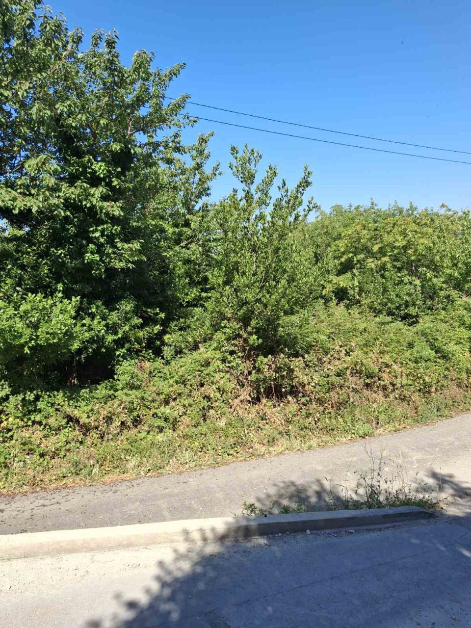 Земля в Близикуче, Черногория, 370 м² - фото 2