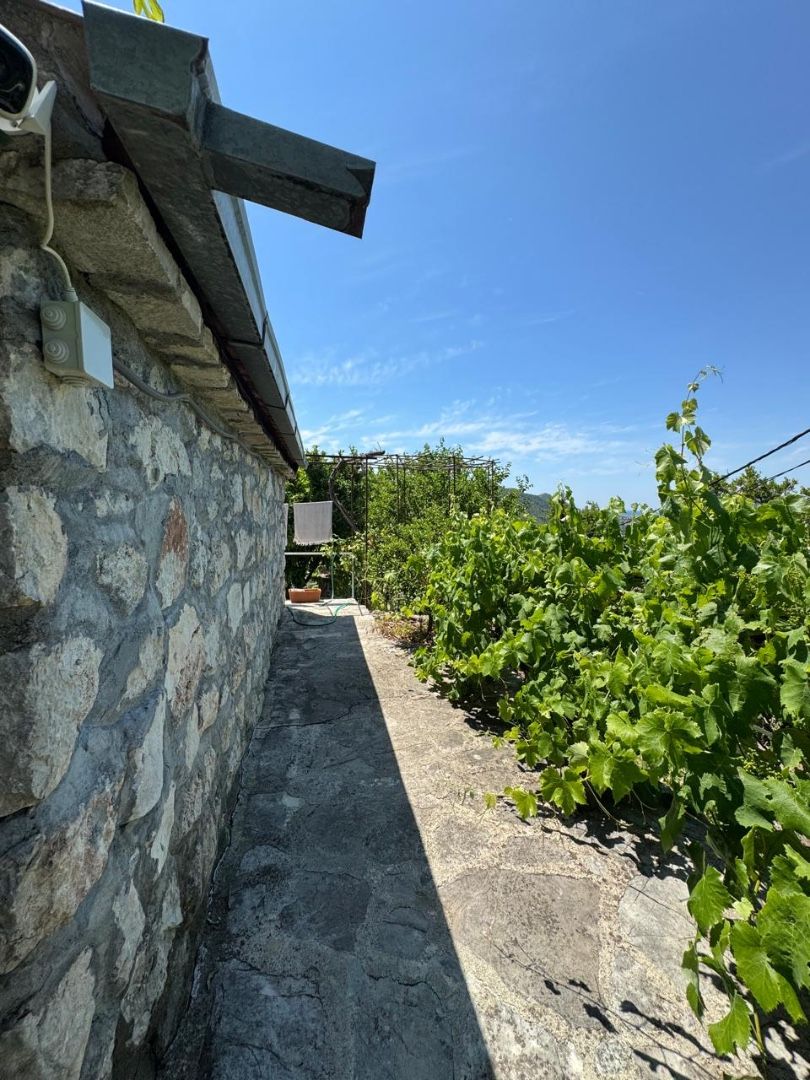 Коммерческая недвижимость в Баре, Черногория, 105 м² - фото 4