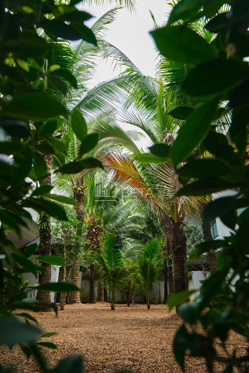 Отель, гостиница в Сиануквиле, Камбоджа, 939 м² - фото 11