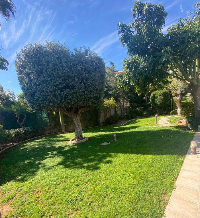 Вилла в Лимасоле, Кипр, 700 м² - фото 4