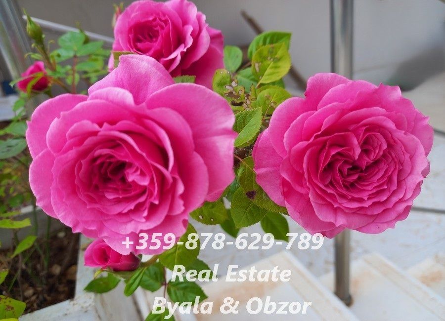 Квартира в Бяле, Болгария, 46 м² - фото 6