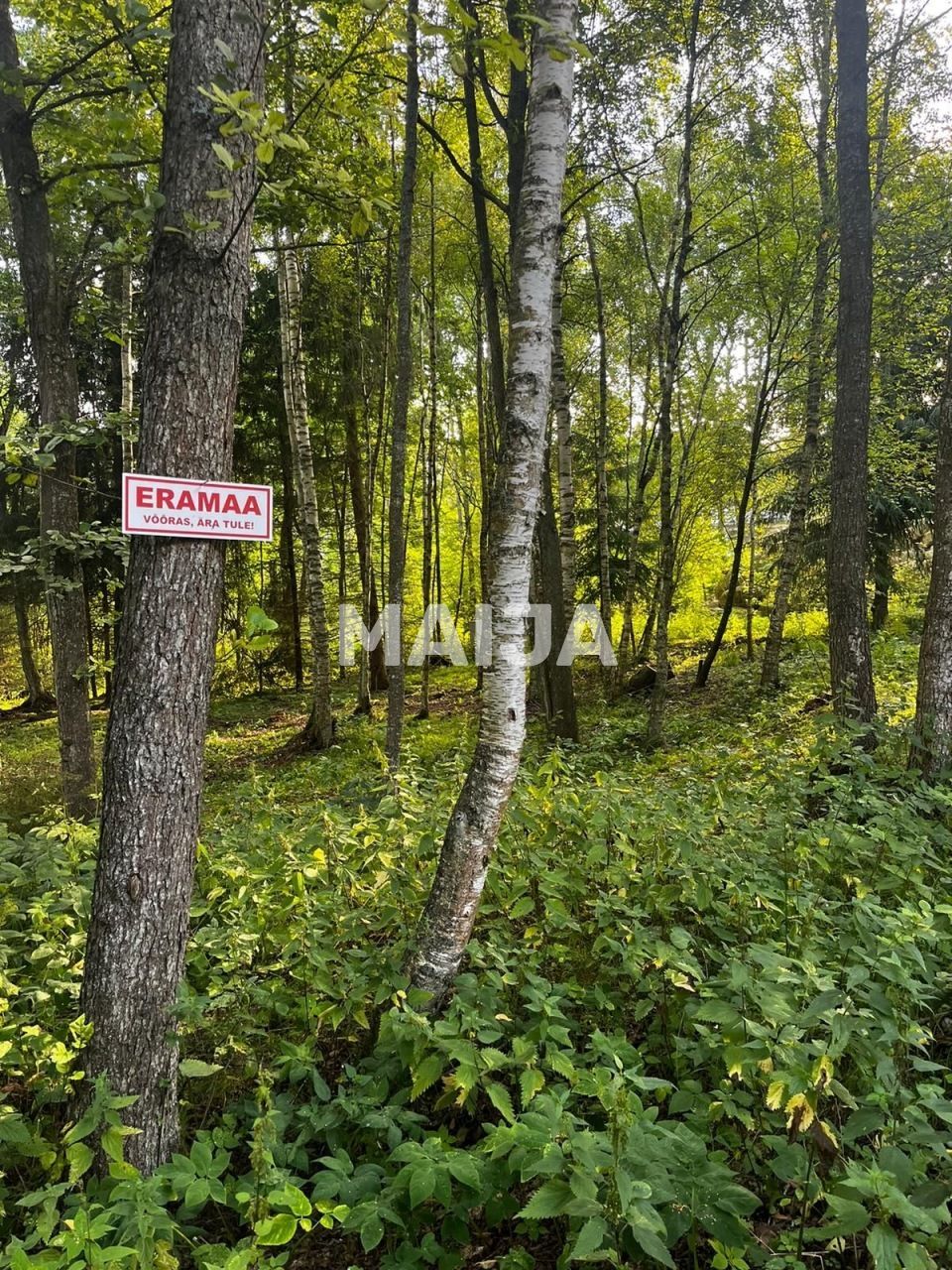 Земля Põhja, Эстония, 10 582 м² - фото 8