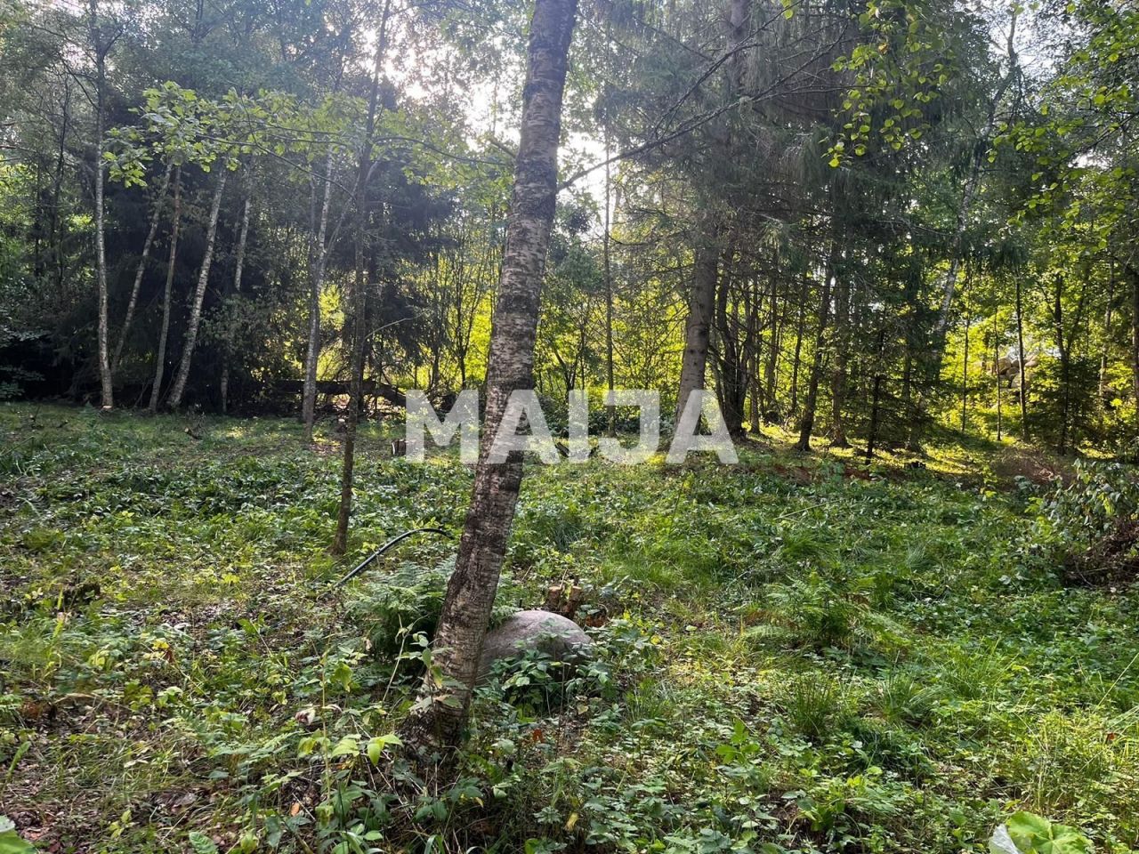 Земля Põhja, Эстония, 10 582 м² - фото 10