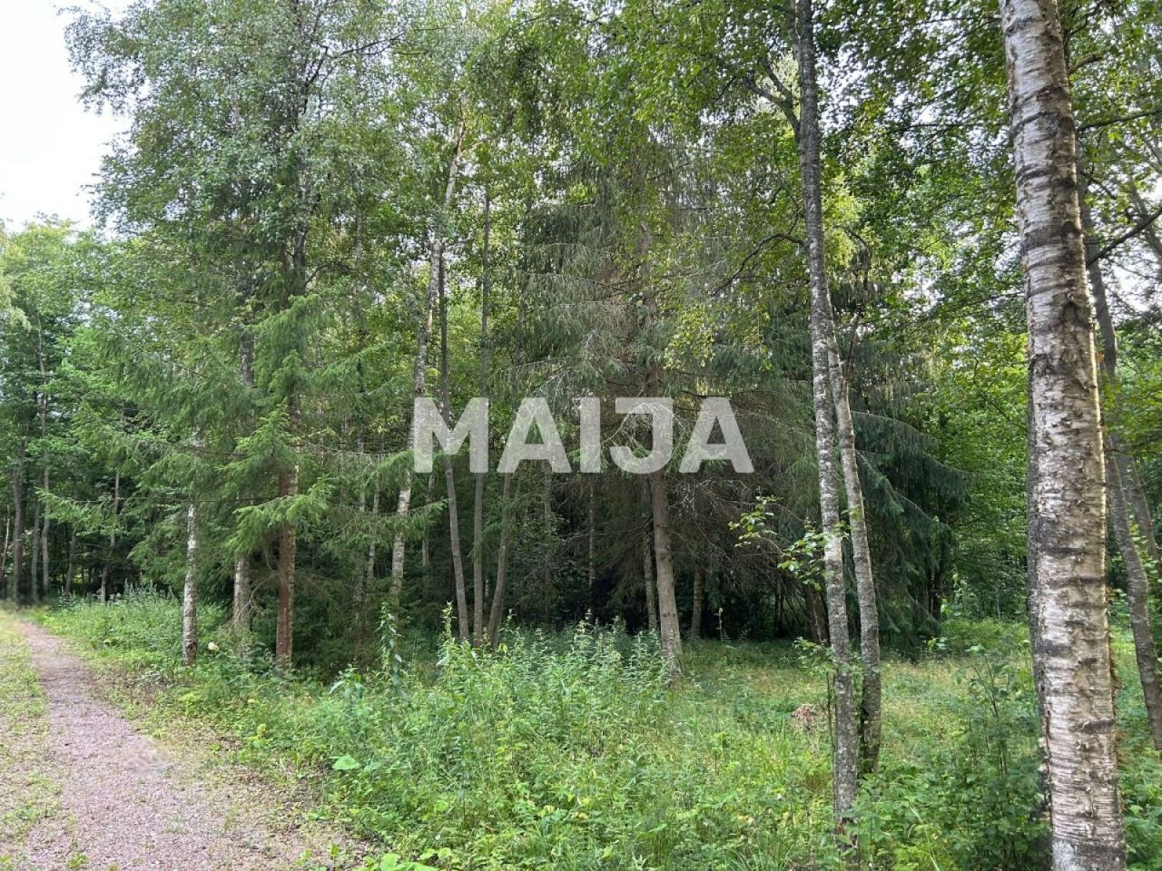 Земля Põhja, Эстония, 10 582 м² - фото 14