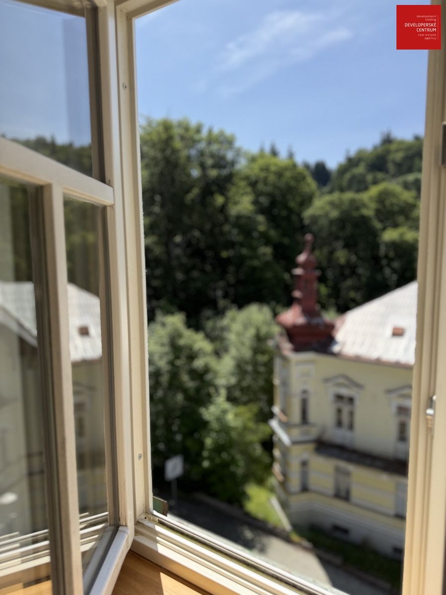 Квартира в Марианске-Лазне, Чехия, 51 м² - фото 10