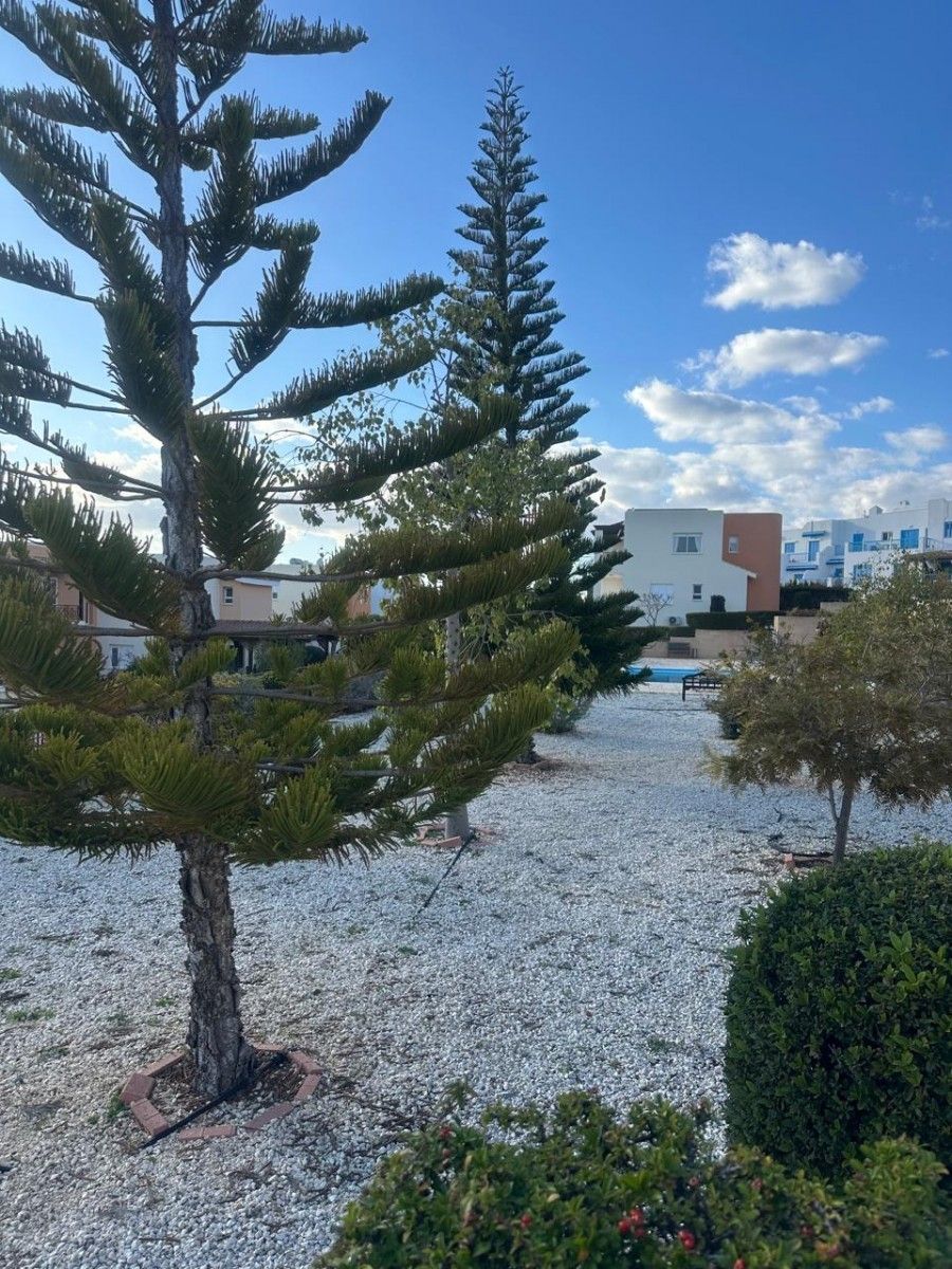 Апартаменты в Пафосе, Кипр, 120 м² - фото 4